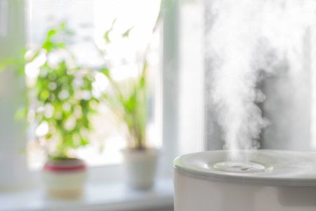 Humidifier in front of a window